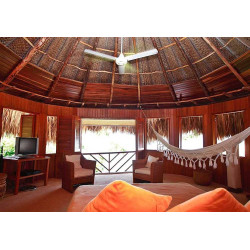 Jungle Cabin